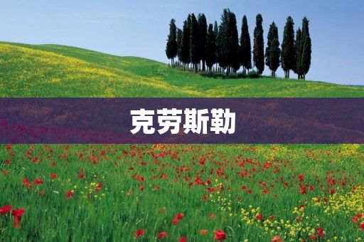 克劳斯勒:领先汽车技术与创新的代表 克劳斯勒:领先汽车技术与创新的代表