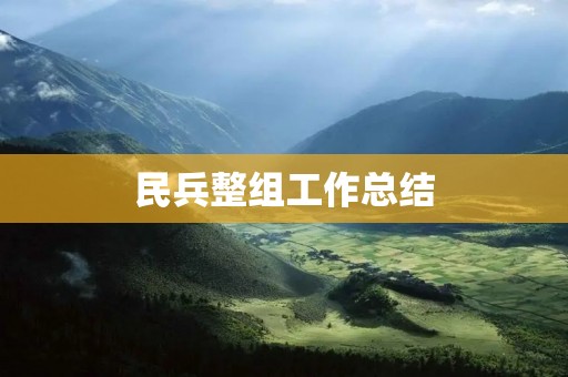 民兵整组工作总结