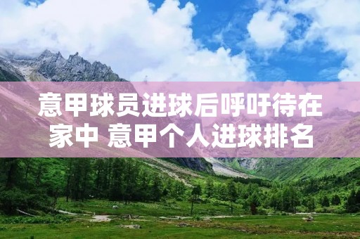 意甲球员进球后呼吁待在家中 意甲个人进球排名