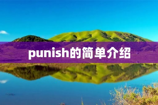 punish的简单介绍
