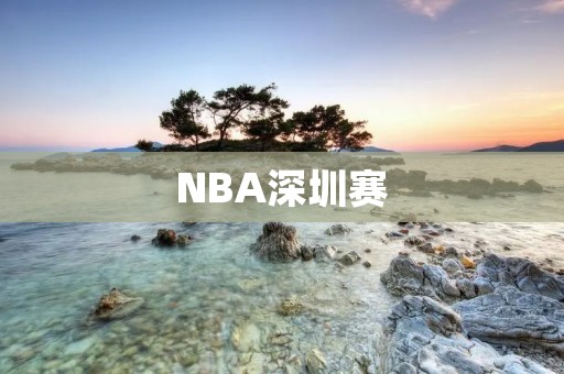 NBA深圳赛：中美篮球文化的碰撞