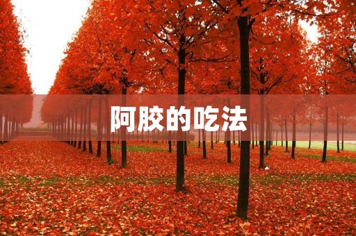 阿胶的吃法：如何正确食用阿胶