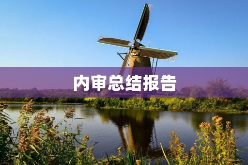 内审总结报告：企业经营状况分析