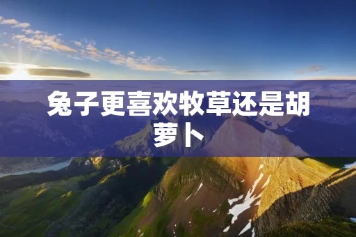 兔子更喜欢牧草还是胡萝卜