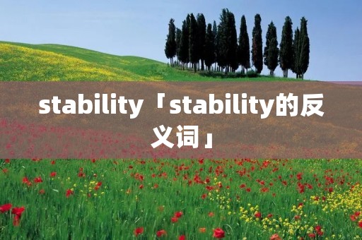 stability「stability的反义词」