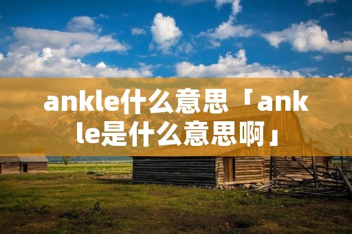 ankle什么意思「ankle是什么意思啊」