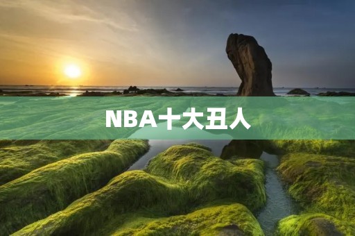 NBA十大丑人:他们的外貌与球场表现不一样 NBA十大丑人:他们的外貌与球场表现不一样