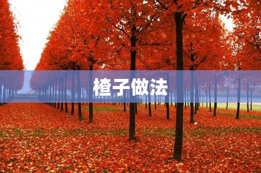 楂子做法：让你在家也能尝到正宗的楂子味道