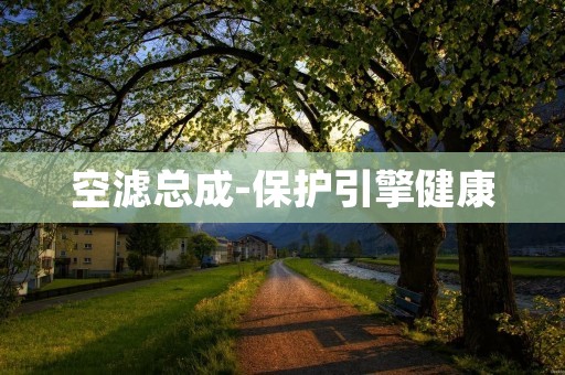 空滤总成-保护引擎健康 空滤总成-保护引擎健康