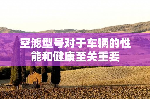 空滤型号对于车辆的性能和健康至关重要 空滤型号对于车辆的性能和健康至关重要