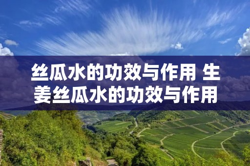 丝瓜水的功效与作用 生姜丝瓜水的功效与作用 丝瓜水的功效与作用 生姜丝瓜水的功效与作用