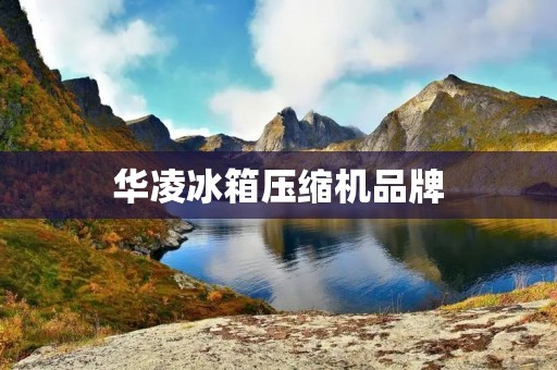 华凌冰箱压缩机品牌：专业品质的代表