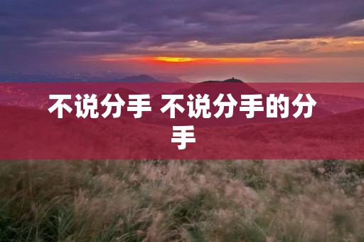 不说分手 不说分手的分手