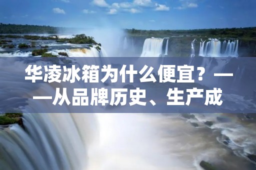 华凌冰箱为什么便宜？——从品牌历史、生产成本和市场策略三方面分析