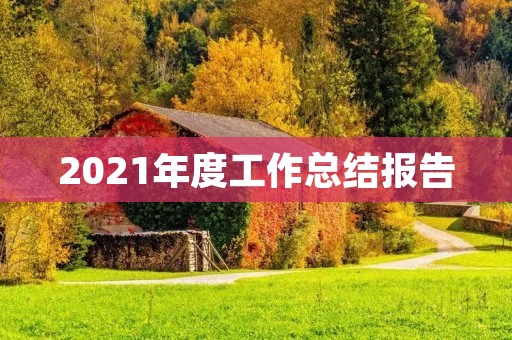 2021年度工作总结报告