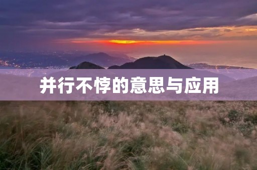 并行不悖的意思与应用
