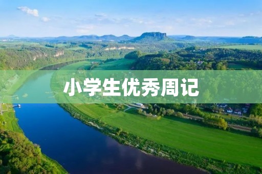 小学生优秀周记：我的暑假计划