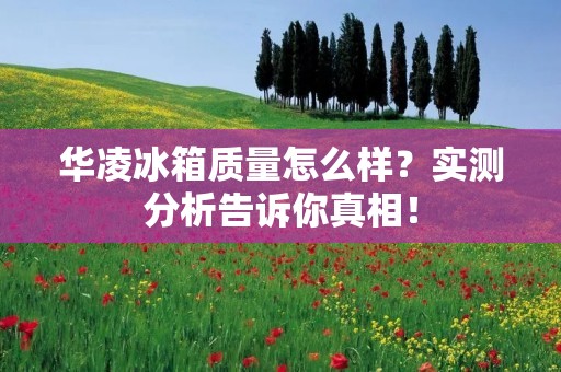 华凌冰箱质量怎么样？实测分析告诉你真相！