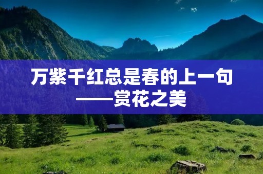 万紫千红总是春的上一句——赏花之美