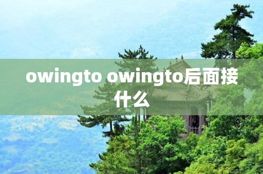 owingto owingto后面接什么