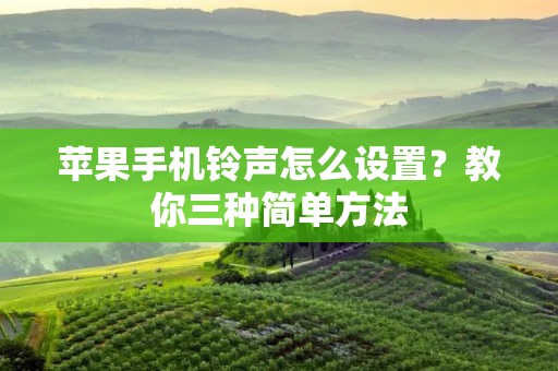 苹果****怎么设置?教你三种简单方法 苹果****怎么设置?教你三种简单方法
