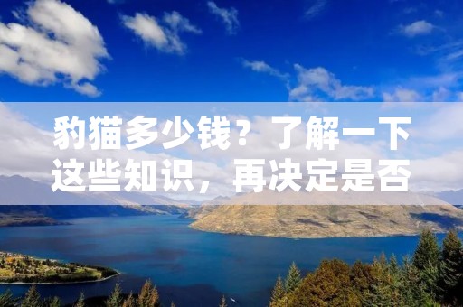 豹猫多少钱?了解一下这些知识,再决定是否养宠物豹猫 豹猫多少钱?了解一下这些知识,再决定是否养宠物豹猫