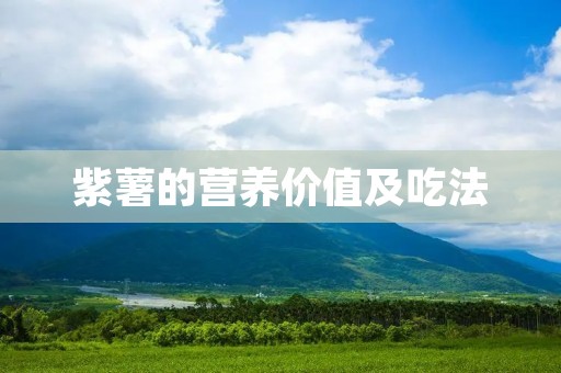 紫薯的营养价值及吃法