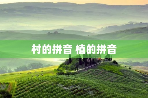 村的拼音 植的拼音