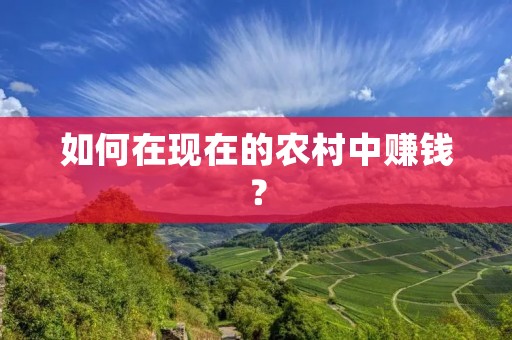 如何在现在的农村中赚钱? 如何在现在的农村中赚钱?