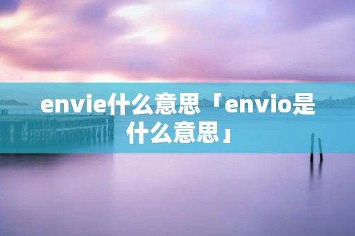 envie什么意思「envio是什么意思」