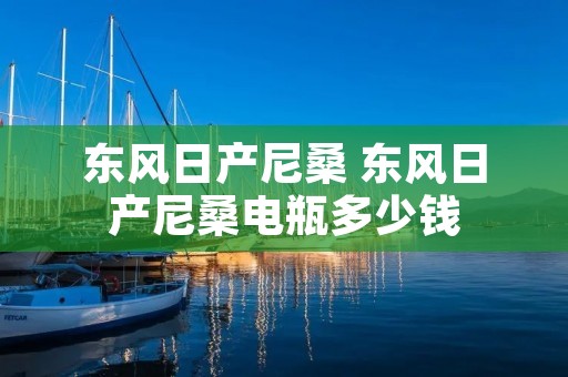 东风日产尼桑 东风日产尼桑电瓶多少钱