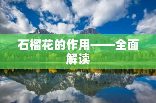 石榴花的作用——全面解读