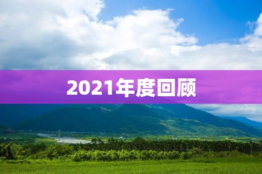 2021年度回顾:成果斐然,前路漫漫