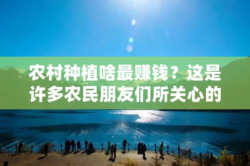 农村种植啥最赚钱?这是许多农民朋友们所关心的问题。随着农村经济的不断发展,越来越多的人开始关注农业产业的发展,希望通过农业种植来获得更多的收益。那么,在众多的农业种植项目中,哪些最具有盈利性呢?下面我们就来一一探讨。 农村种植啥最赚钱?这是许多农民朋友们所关心的问题。随着农村经济的不断发展,越来越多的人开始关注农业产业的发展,希望通过农业种植来获得更多的收益。那么,在众多的农业种植项目中,哪些最具有盈利性呢?下面我们就来一一探讨。