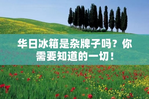 华日冰箱是杂牌子吗？你需要知道的一切！