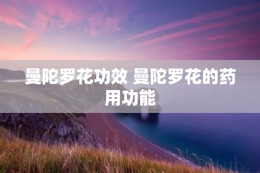 曼陀罗花功效 曼陀罗花的药用功能