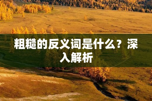 粗糙的反义词是什么?深入解析