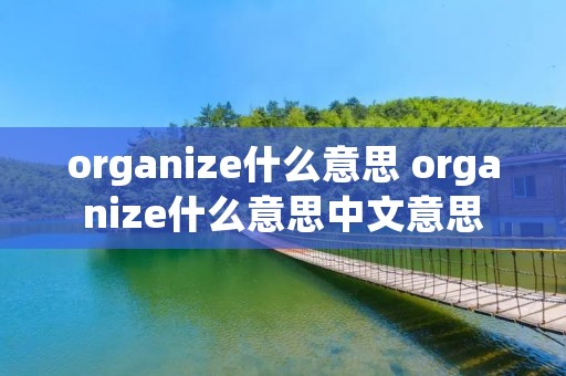 organize什么意思 organize什么意思中文意思 organize什么意思 organize什么意思中文意思