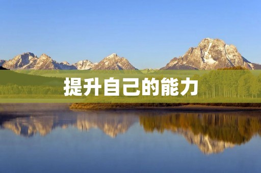 提升自己的能力:掌握技能的方法与技巧