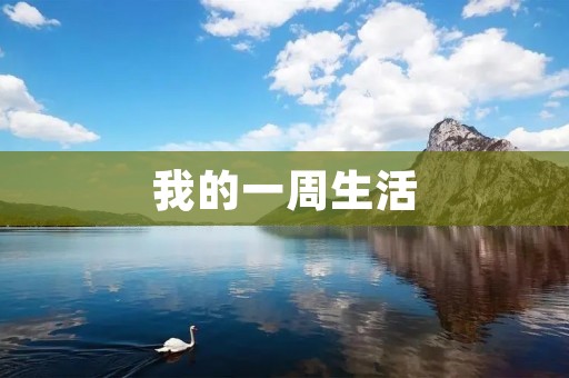 我的一周生活 我的一周生活