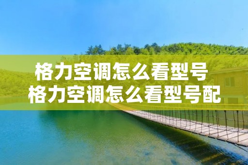格力空调怎么看型号 格力空调怎么看型号配遥控器