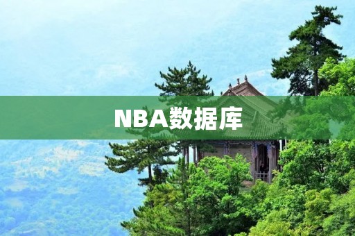 NBA数据库：打造篮球数据分析的利器