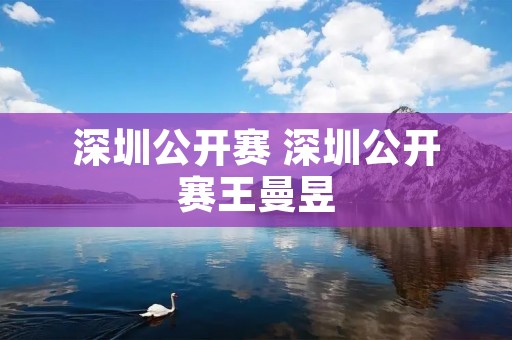 深圳公开赛 深圳公开赛王曼昱