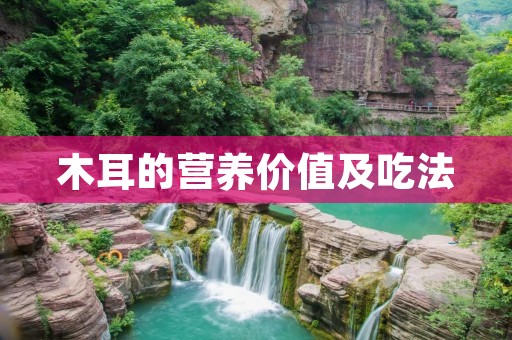 木耳的营养价值及吃法 木耳的营养价值及吃法
