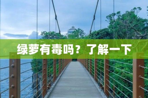 绿萝有毒吗？了解一下