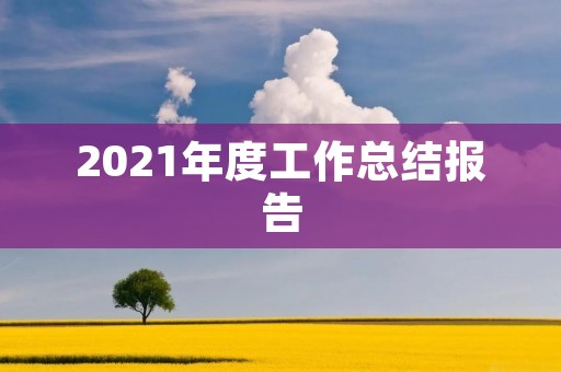 2021年度工作总结报告