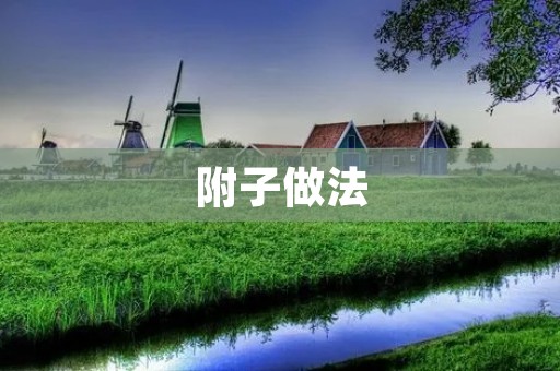 附子做法:传统制作方法与现代技术 附子做法:传统制作方法与现代技术