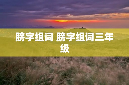 膀字组词 膀字组词三年级