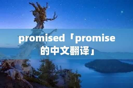 promised「promise的中文翻译」
