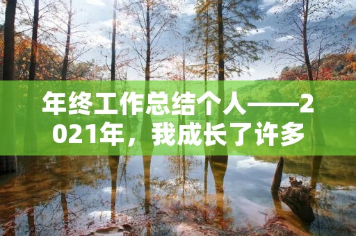 年终工作总结个人——2021年,我成长了许多